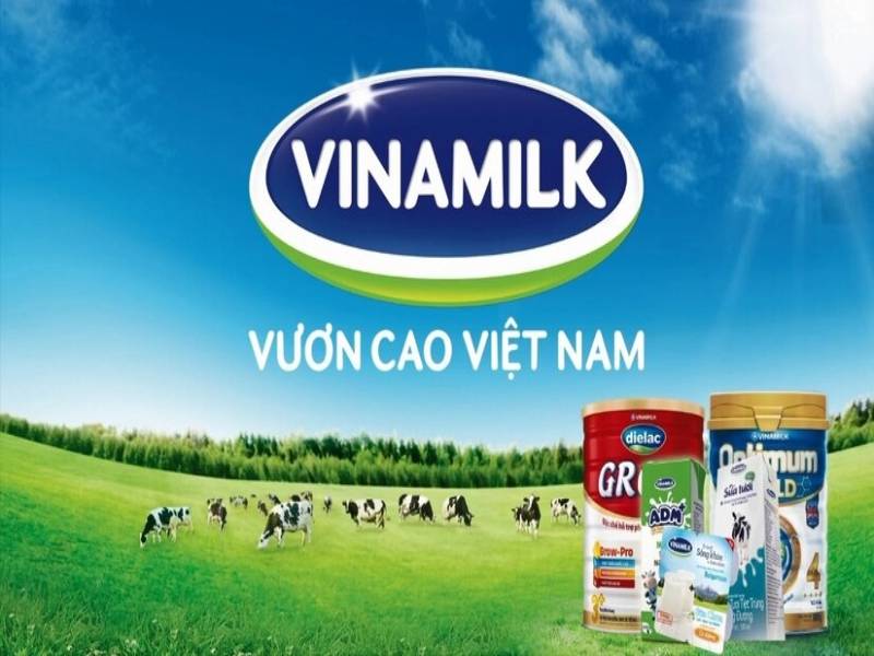 Địa chỉ tìm việc làm nhân viên bán hàng tại Vinamilk 