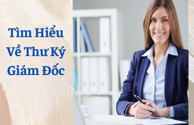 Tìm Hiểu Về Thư Ký Giám Đốc